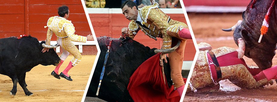 Bullfighting