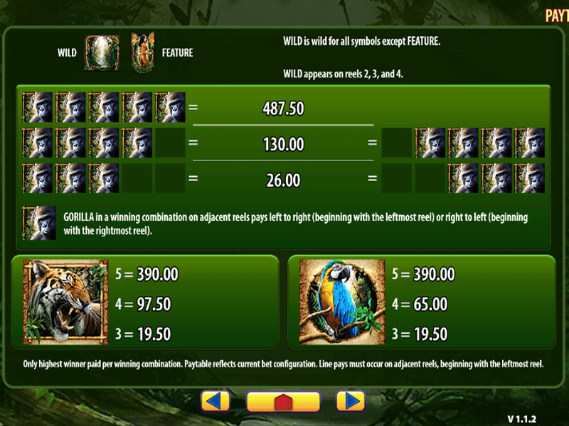 Amazon Queen Slot 6