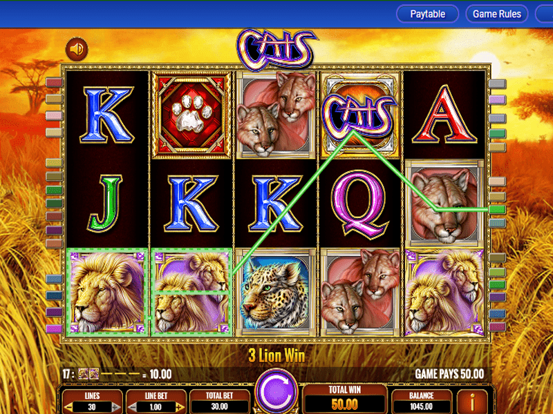 Cats Slot 3