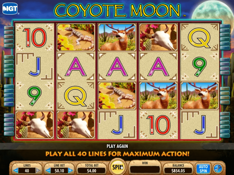 Coyote Moon Slot 1