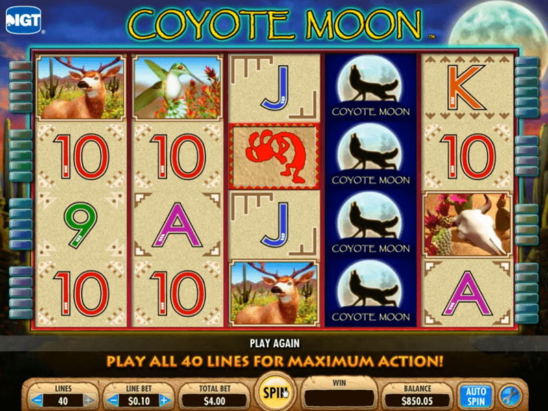 Coyote Moon Slot 2