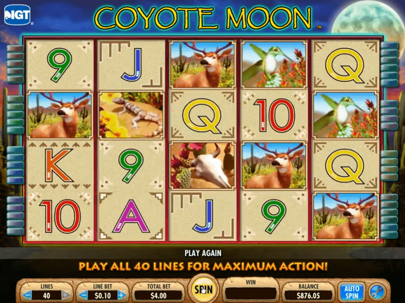 Coyote Moon Slot 4