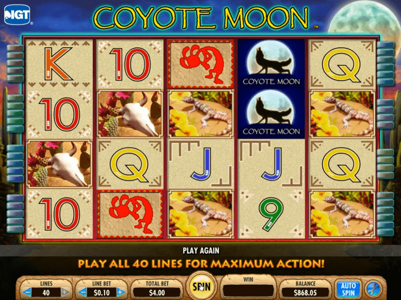 Coyote Moon Slot 5
