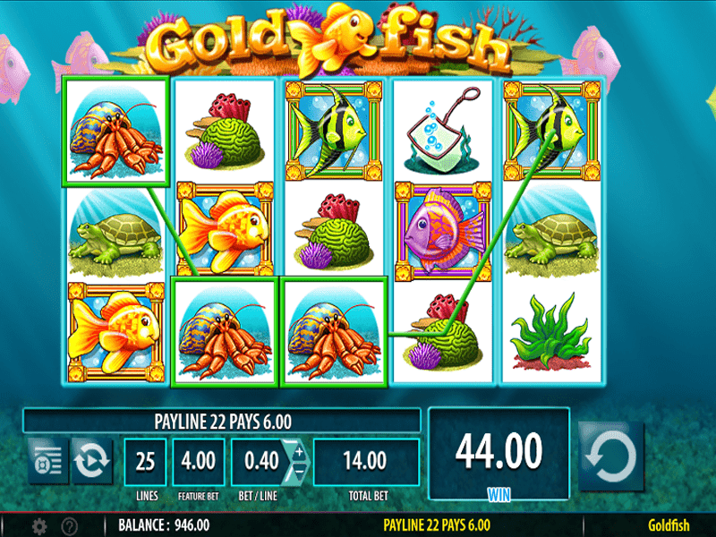 Goldfish Slot 5