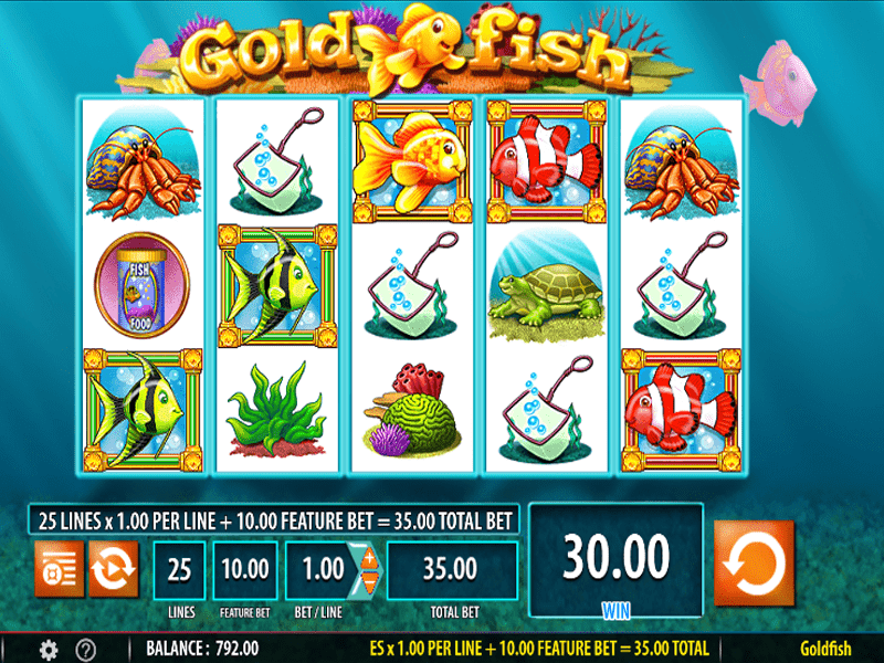 Goldfish Slot 6