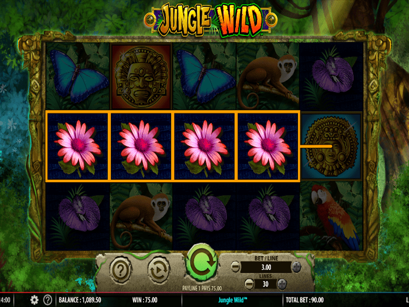 Jungle Wild Slot 5