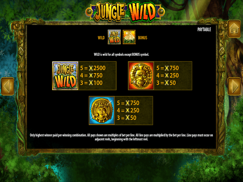 Jungle Wild Slot 6