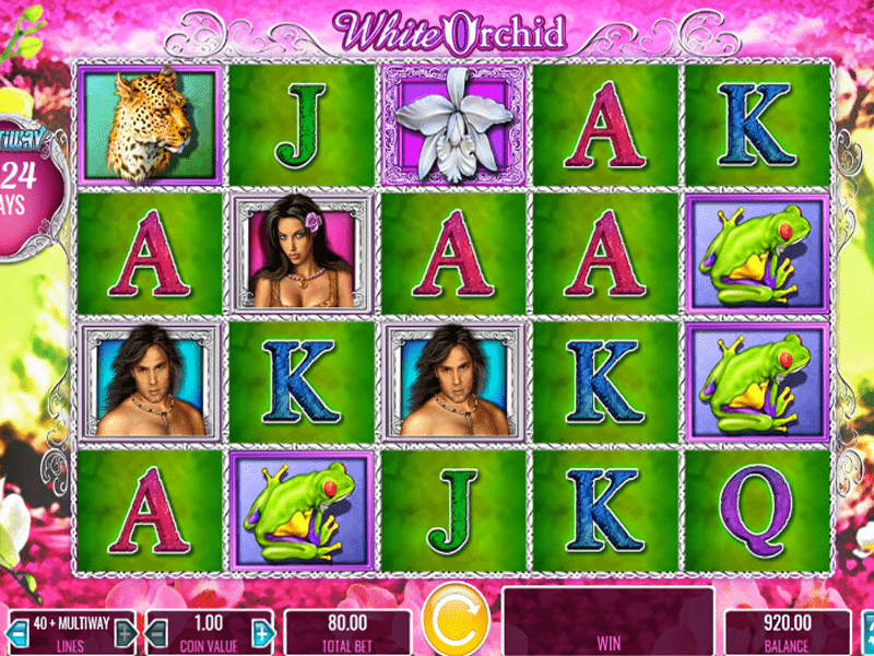 White Orchid Slot 1