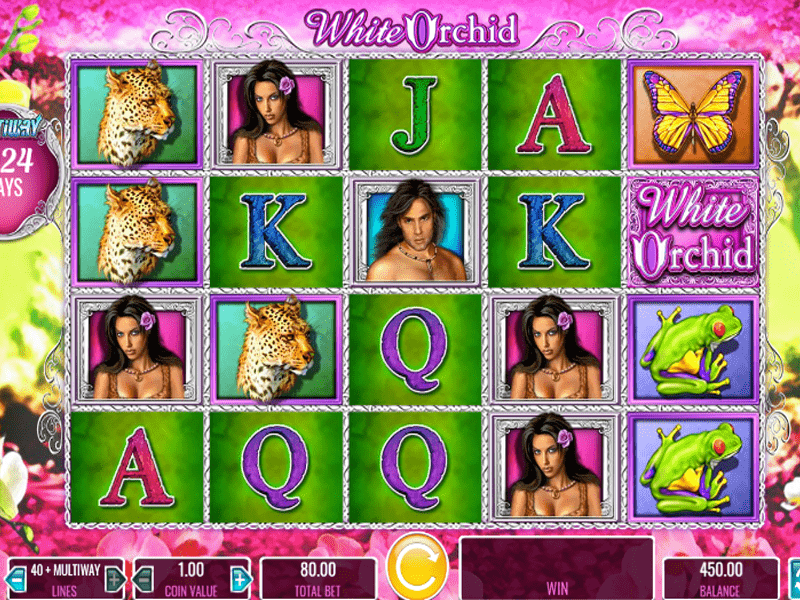 White Orchid Slot 3