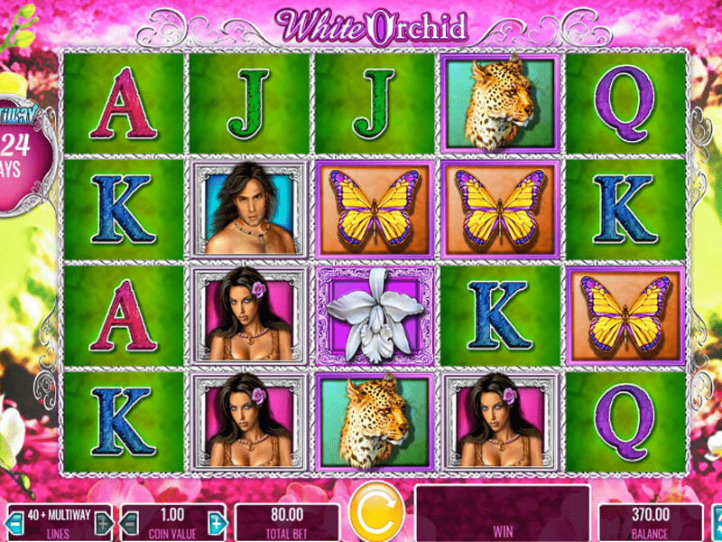 White Orchid Slot 4