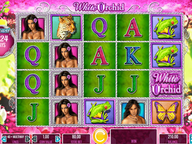 White Orchid Slot 5