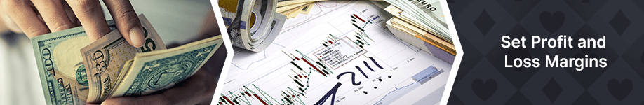 Set Profit and Loss Margins