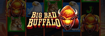 Big Bad Buffalo