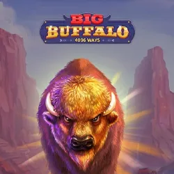 big buffalo