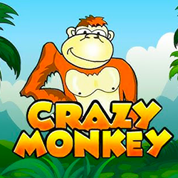 crazy monkey