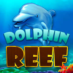 dolphin reef