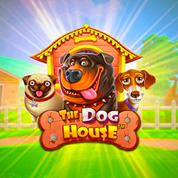 the dog house