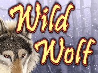 Wild Wolf