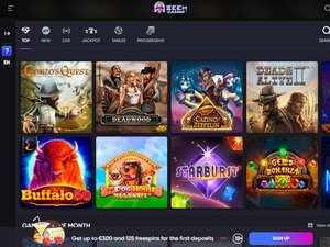 5Gringos software screenshot