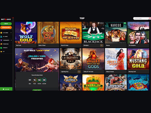 Betamo Casino software screenshot