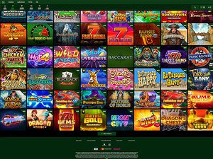 Roo Casino software screenshot
