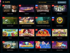 Playamo Casino software screenshot