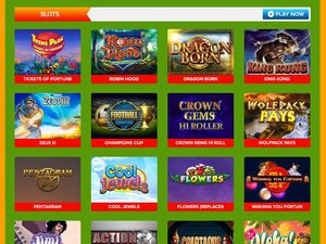 Slot Fruity Casino software screenshot