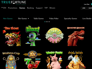 True Fortune software screenshot