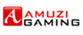 Amuzi Gaming
