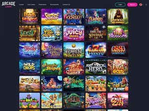 Arcadelara Casino software screenshot