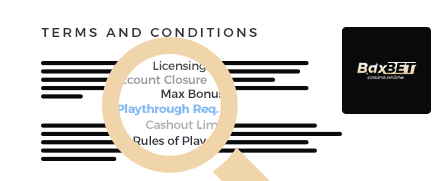 BaxBet Casino Terms
