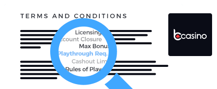 bCasino Terms