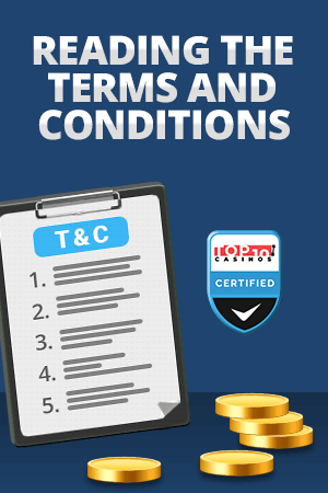 terms and conditions