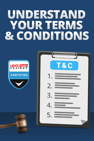 terms and conditions