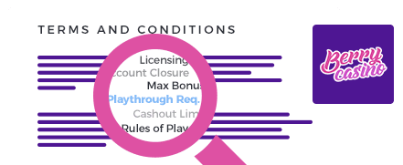 Berry Casino Terms