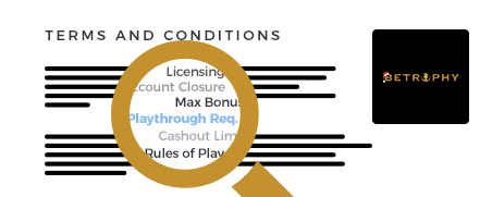 Bet Rophy Casino Terms