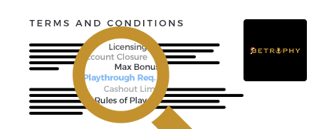 Bet Rophy Casino Terms