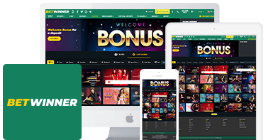 BetWinner Casino Mobile