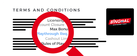 Bingoal Casino Terms
