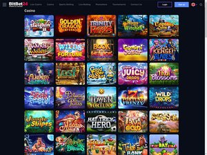 BitBet24 Casino software screenshot