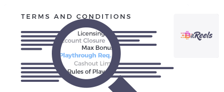 Bitreels Casino Terms