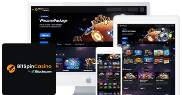 BitSpin Casino Mobile