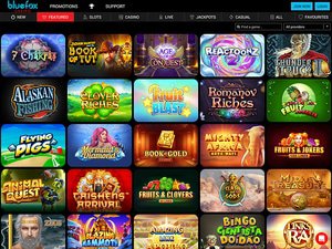 Bluefox Casino software screenshot