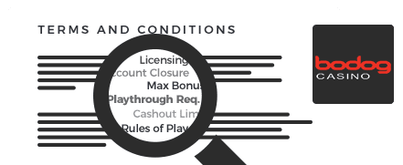 Bodog Casino Terms