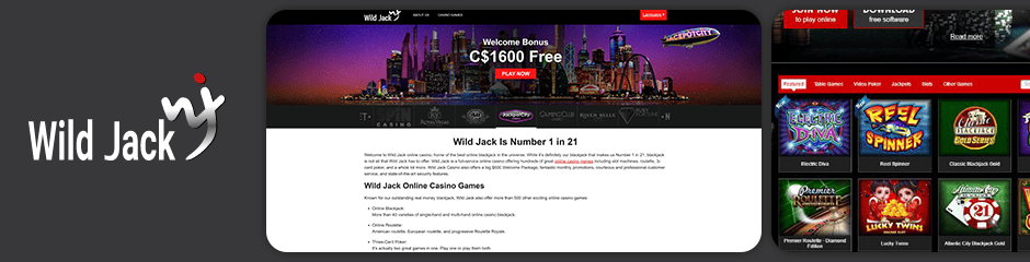 bonus wildjack casino