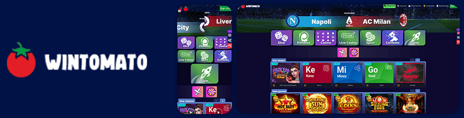 Wintomato Casino Bonuses