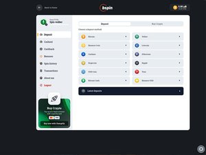 Bspin Casino cashier screenshot