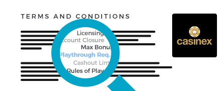 Casinex Casino Terms