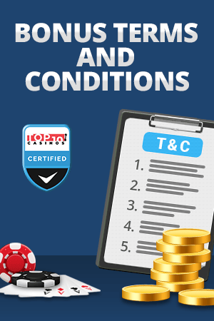 terms and conditions