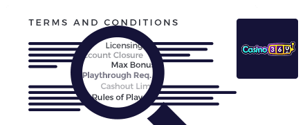 Casino360 Terms and Conditions